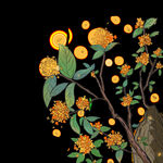 桂花树元素