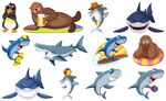 卡通海洋生物