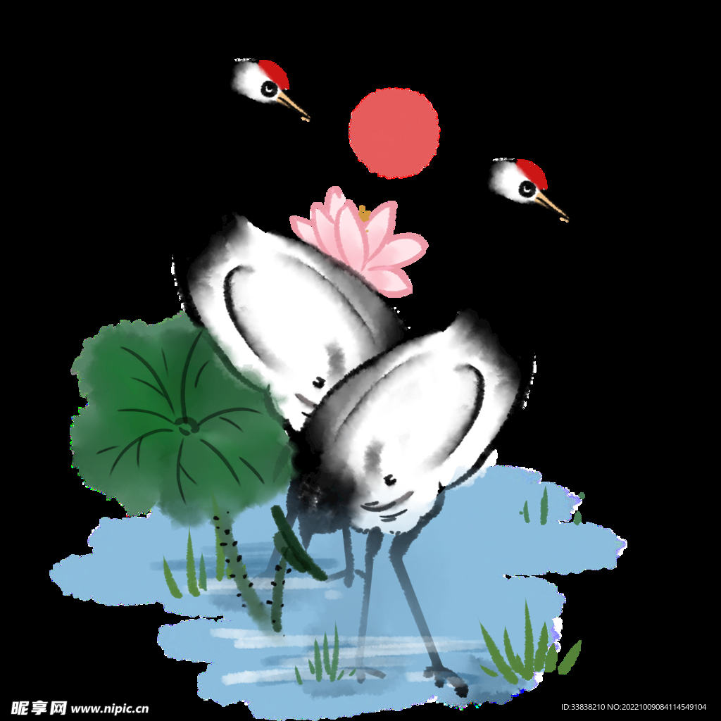 荷花