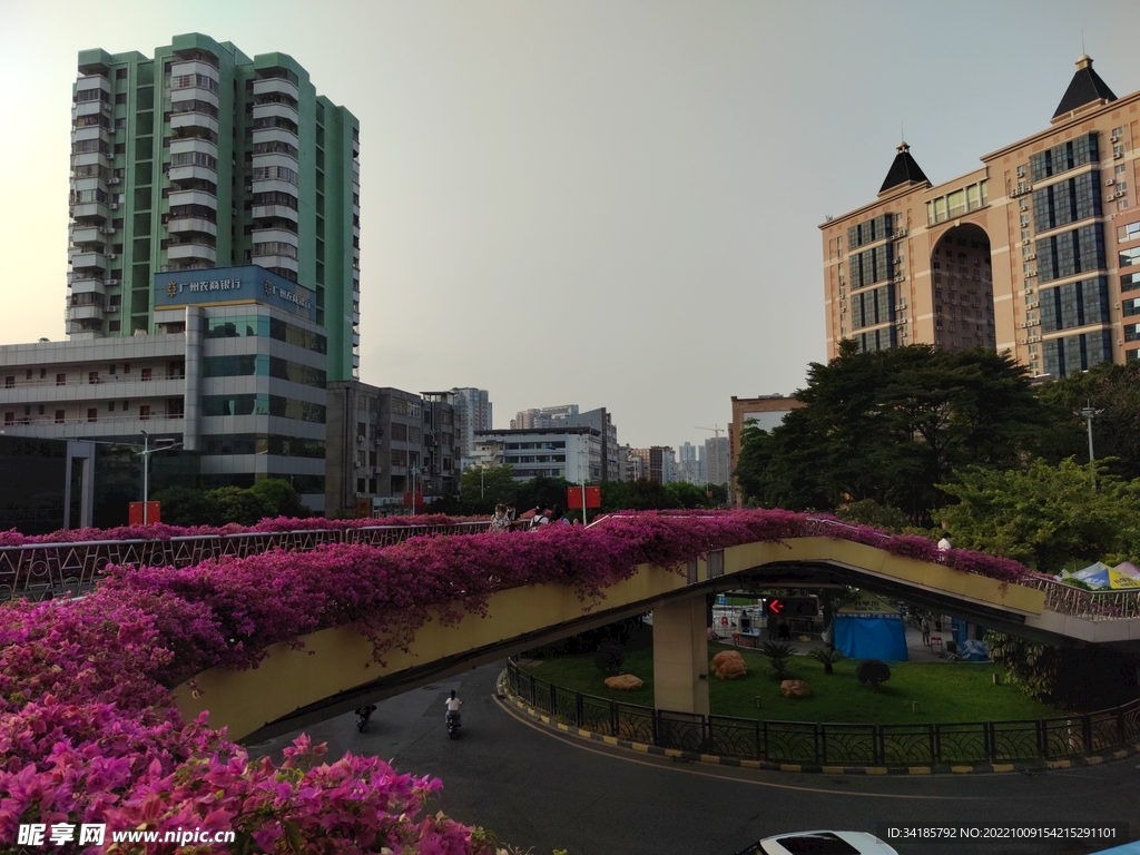 广州市桥镇街景