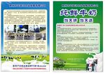 牛奶宣传单
