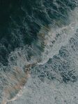 海水