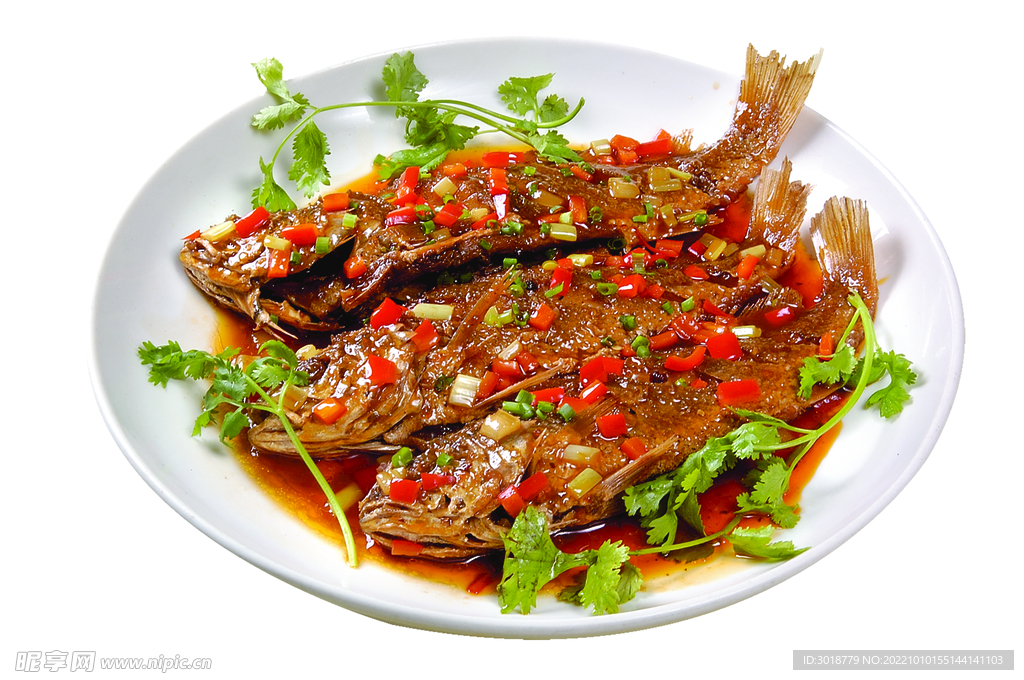 小黄鱼