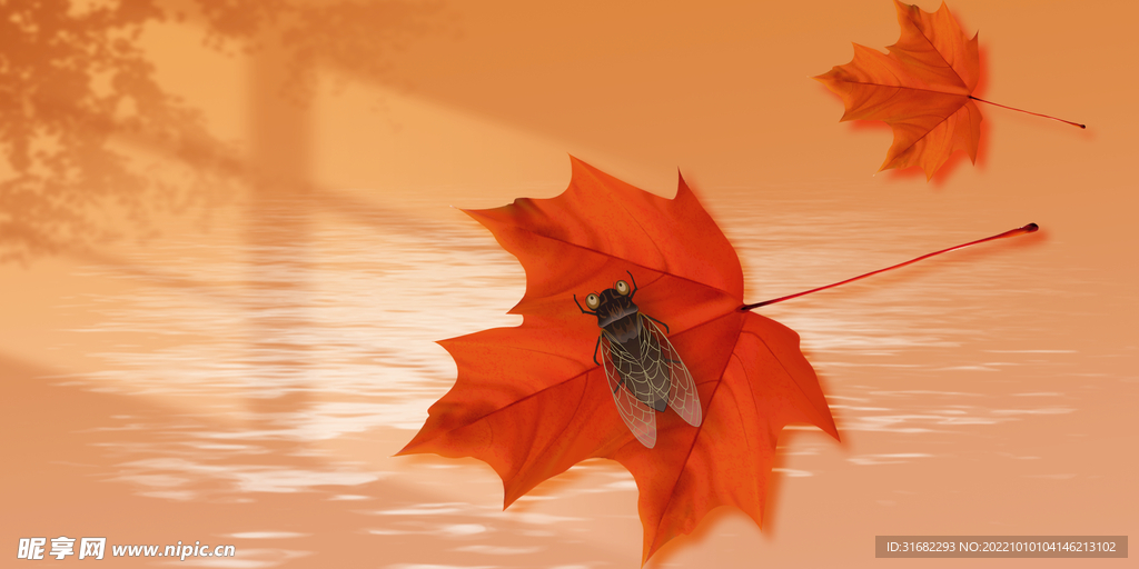 秋季落叶背景图  