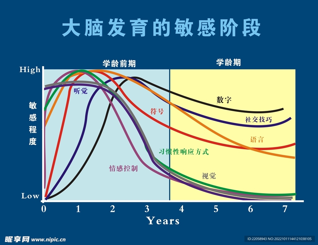 大脑发育敏感阶段展板