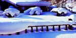 雪乡