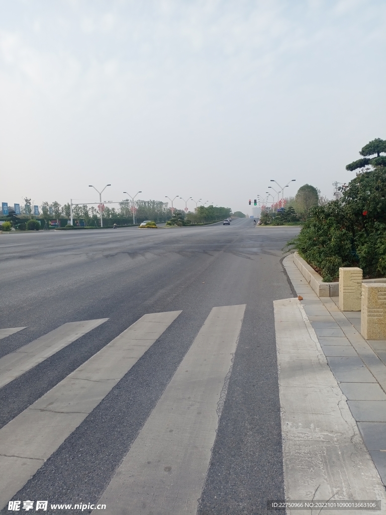 马路