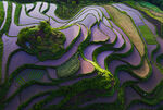风景名胜