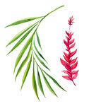 手绘花卉