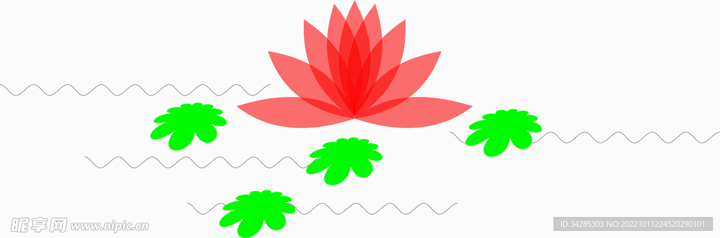 荷花