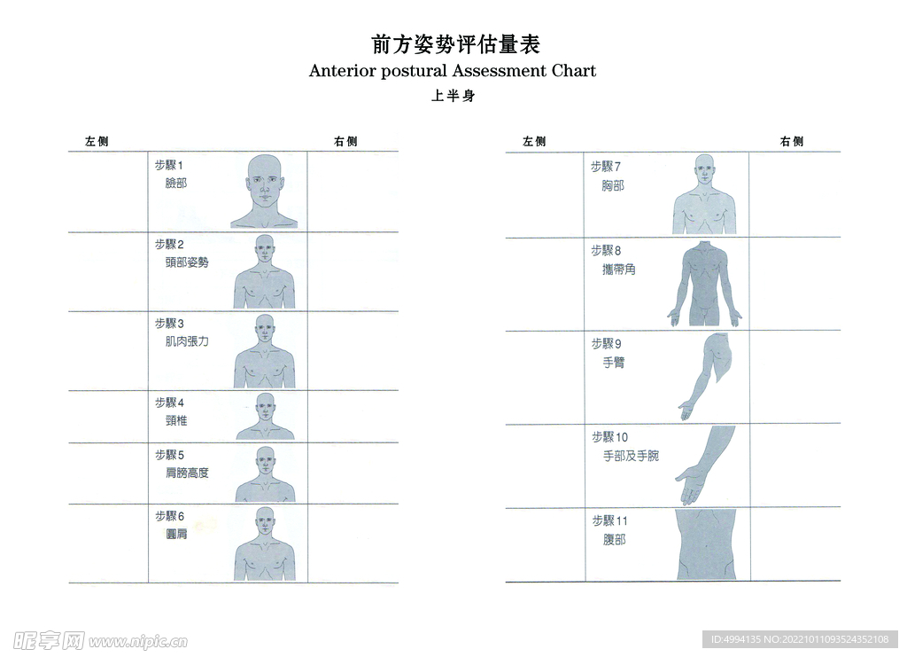 瑜伽前方姿势评估表