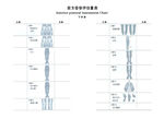 瑜伽前方姿势评估表