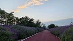 公路