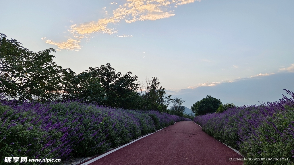 公路