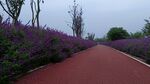 公路