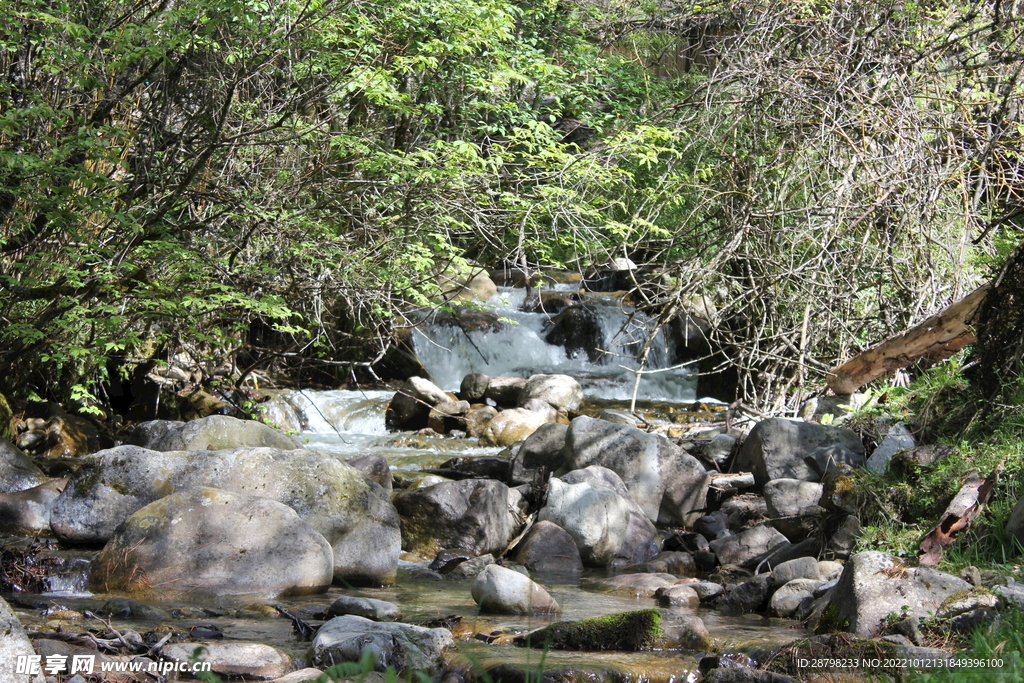 山水