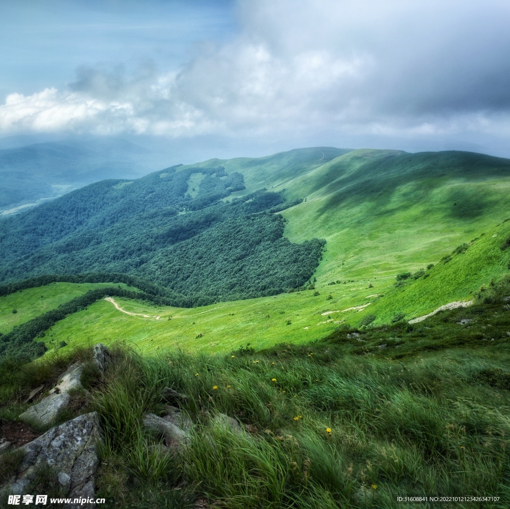 草原风景