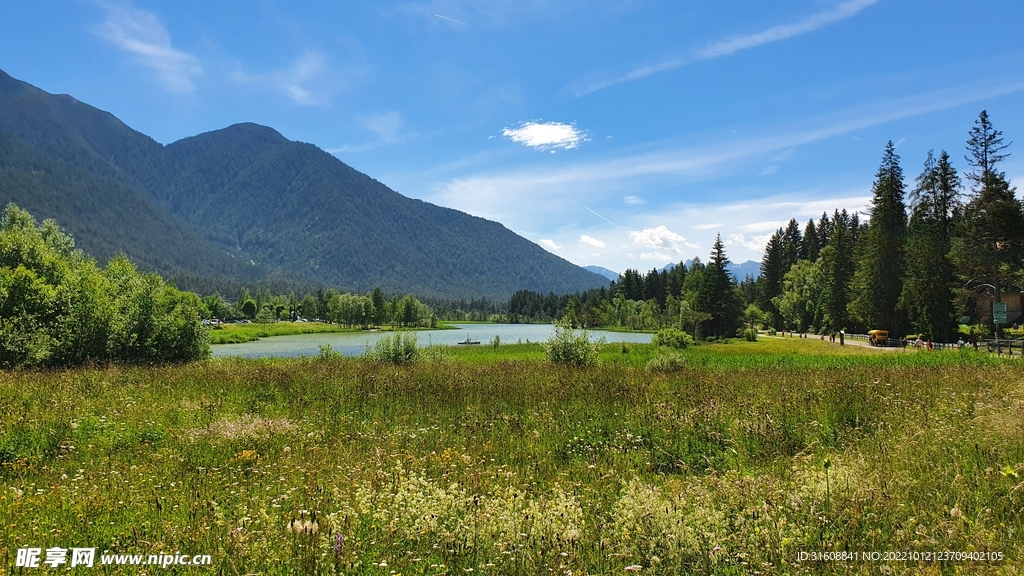 草原风景 