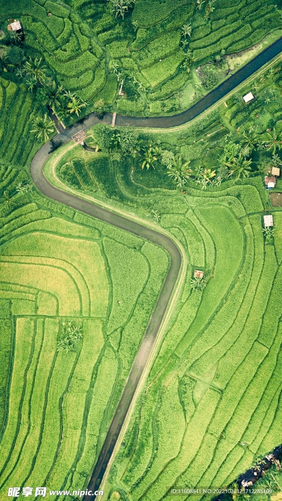 草原风景 