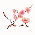 粉红色 
