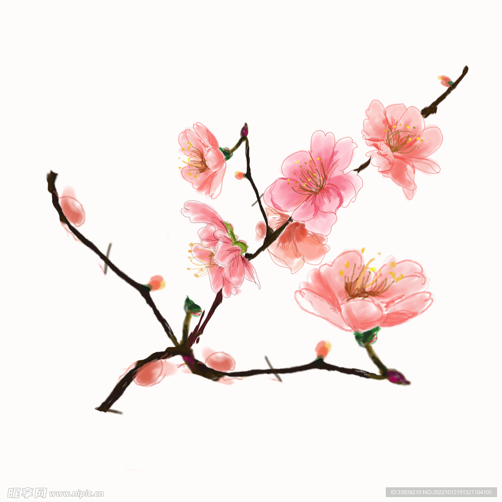 粉红色 