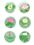 鲜花