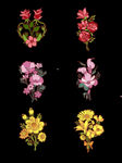 手绘花