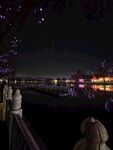 后海的夜晚