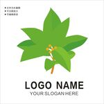 绿叶 logo 图片