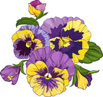 卡通花