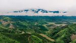 高地森林山脉