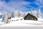 冬天雪地