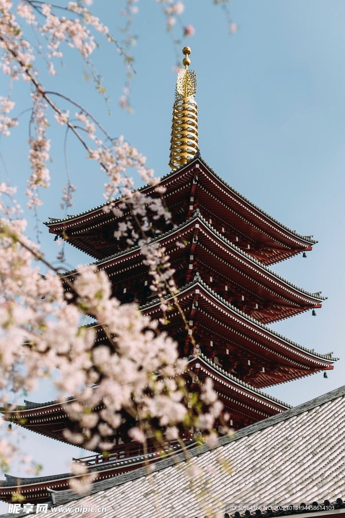 日式寺庙建筑