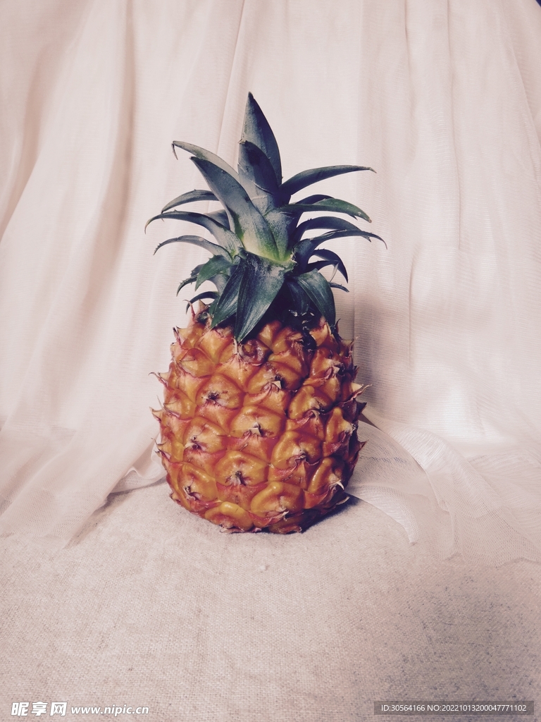 菠萝水果