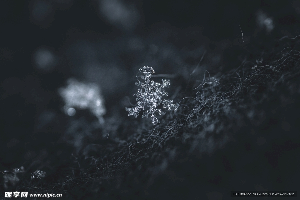雪花 冰晶          
