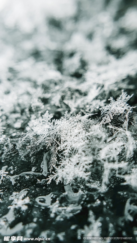 雪花 冰晶          