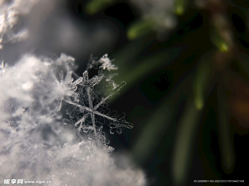 雪花 冰晶          