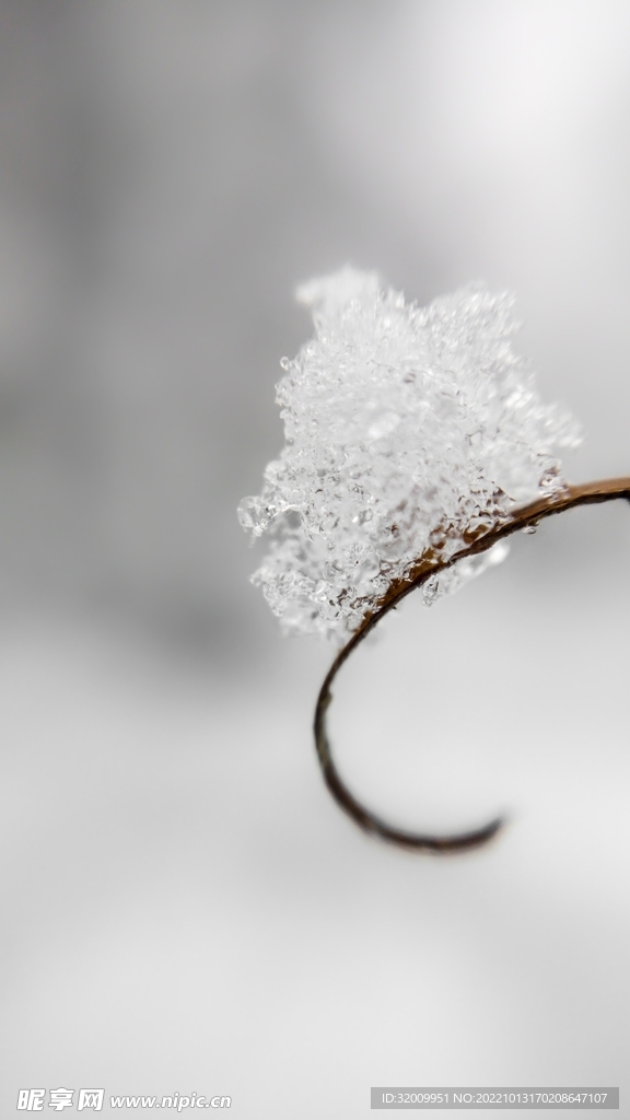 雪花 冰晶          