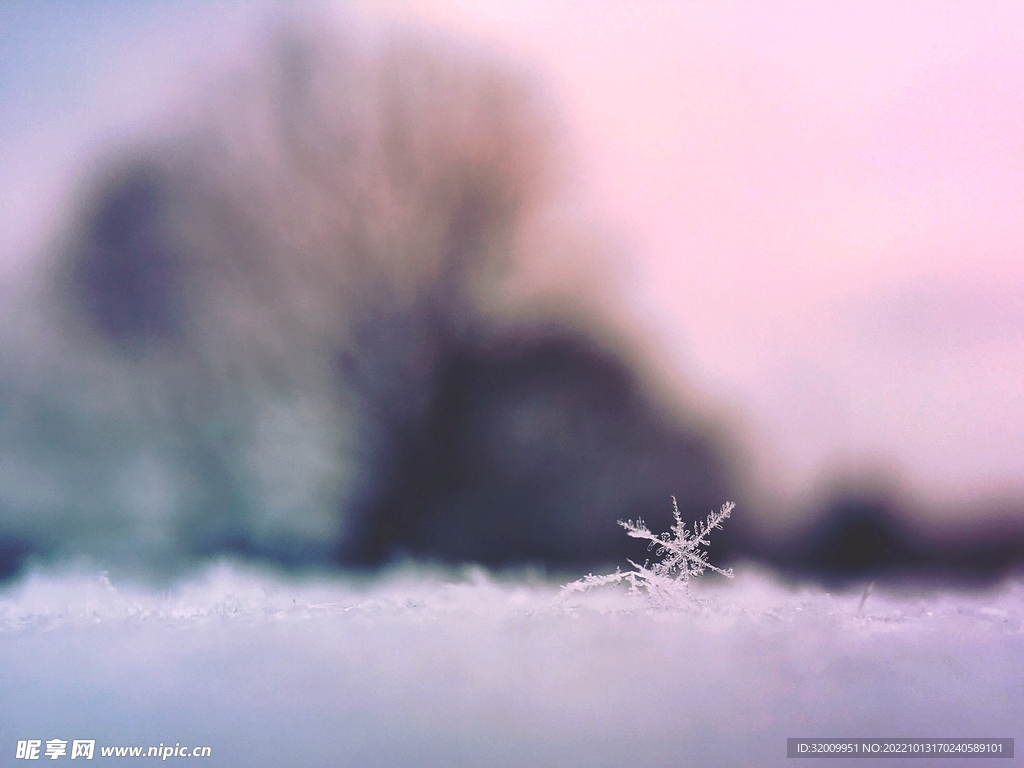 雪花 冰晶          