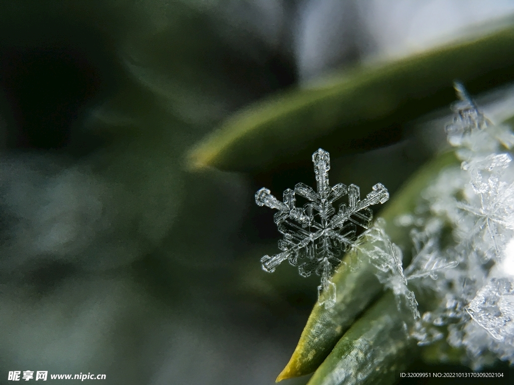 雪花 冰晶          