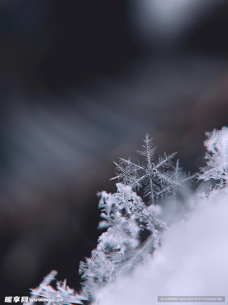 雪花 冰晶          