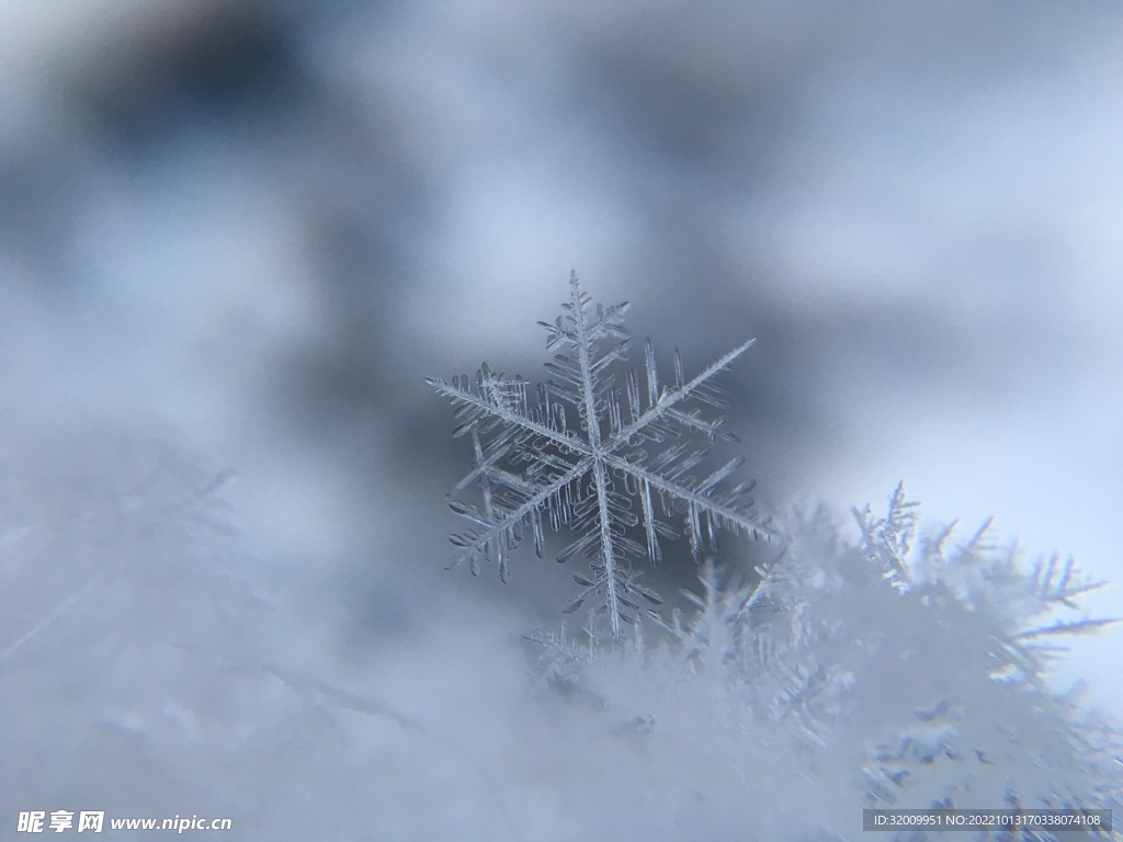 雪花 冰晶          