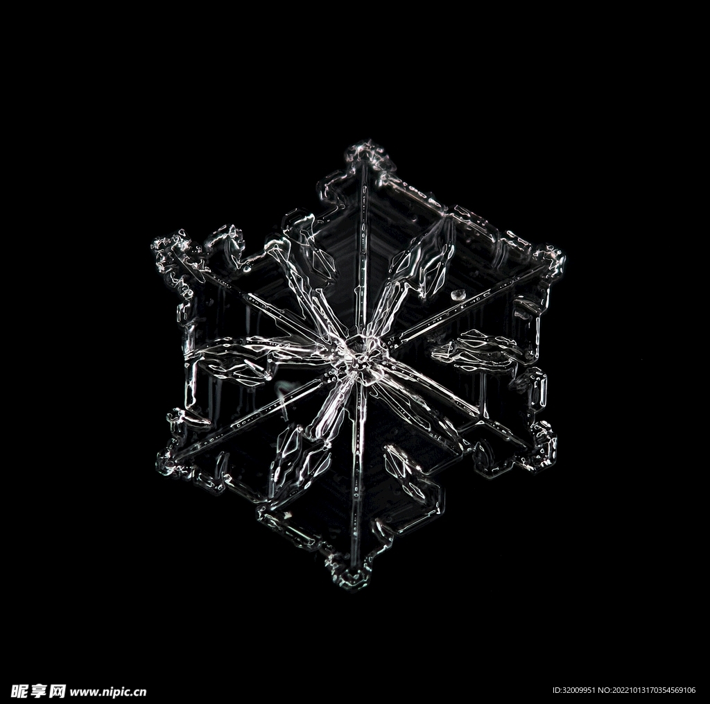 雪花 冰晶          
