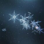雪花             