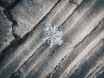 雪花             