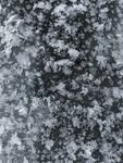 雪花             