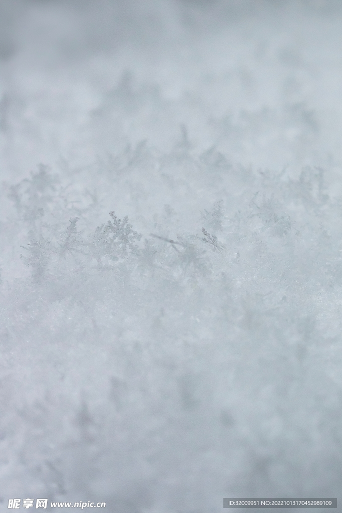 雪花             
