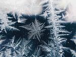 雪花             