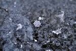 雪花             