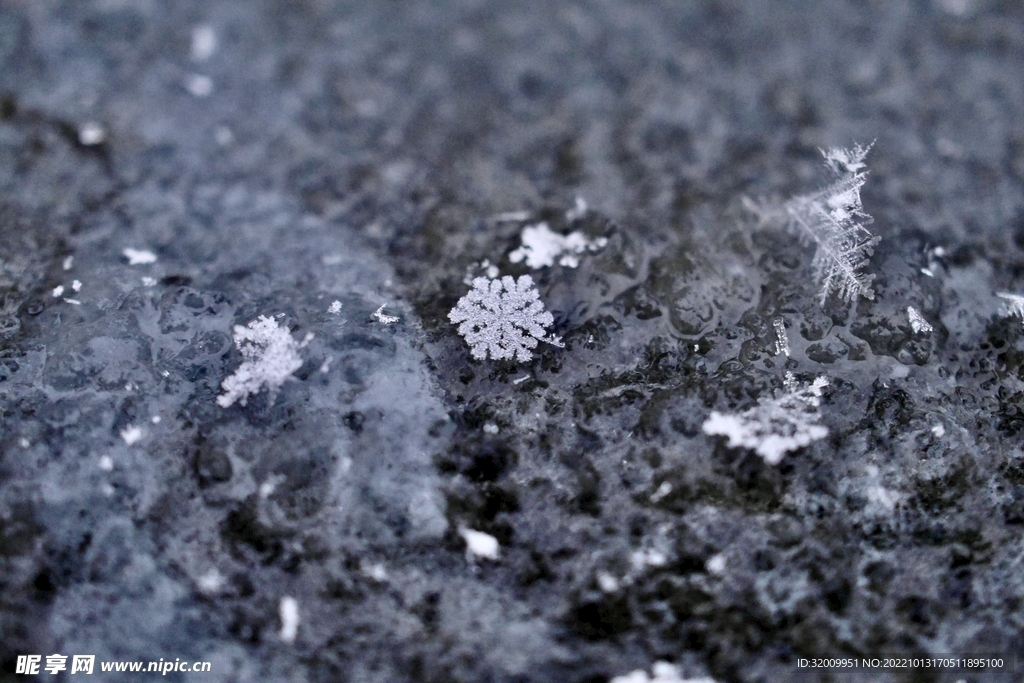雪花             